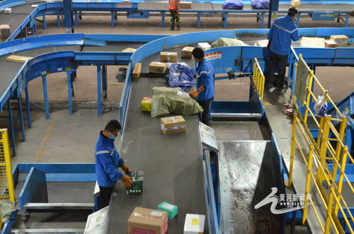 雙十一 農(nóng)產(chǎn)品外銷更暢通 快遞小哥收入更高